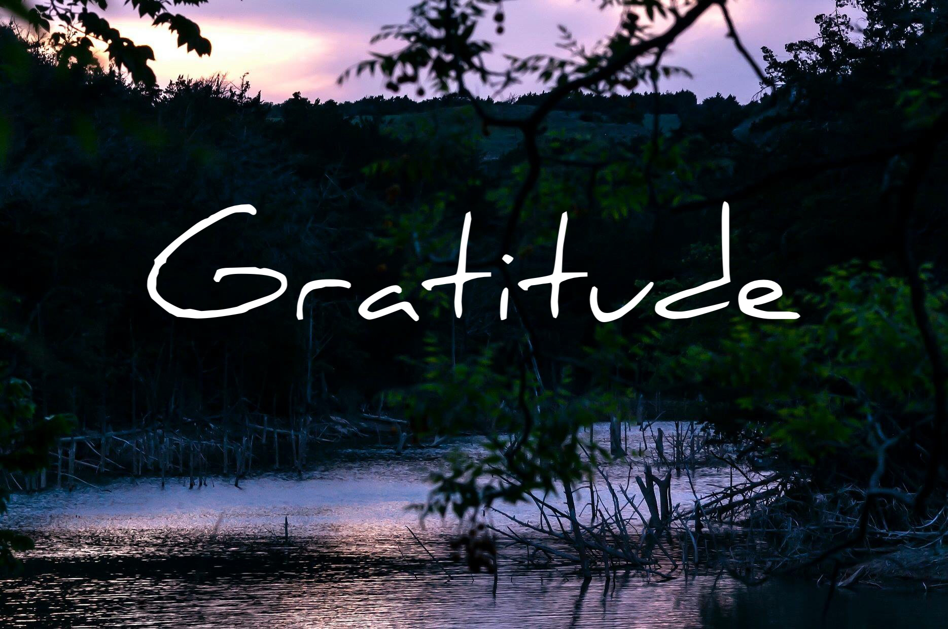 Reflections on Gratitude by Steven Shomler