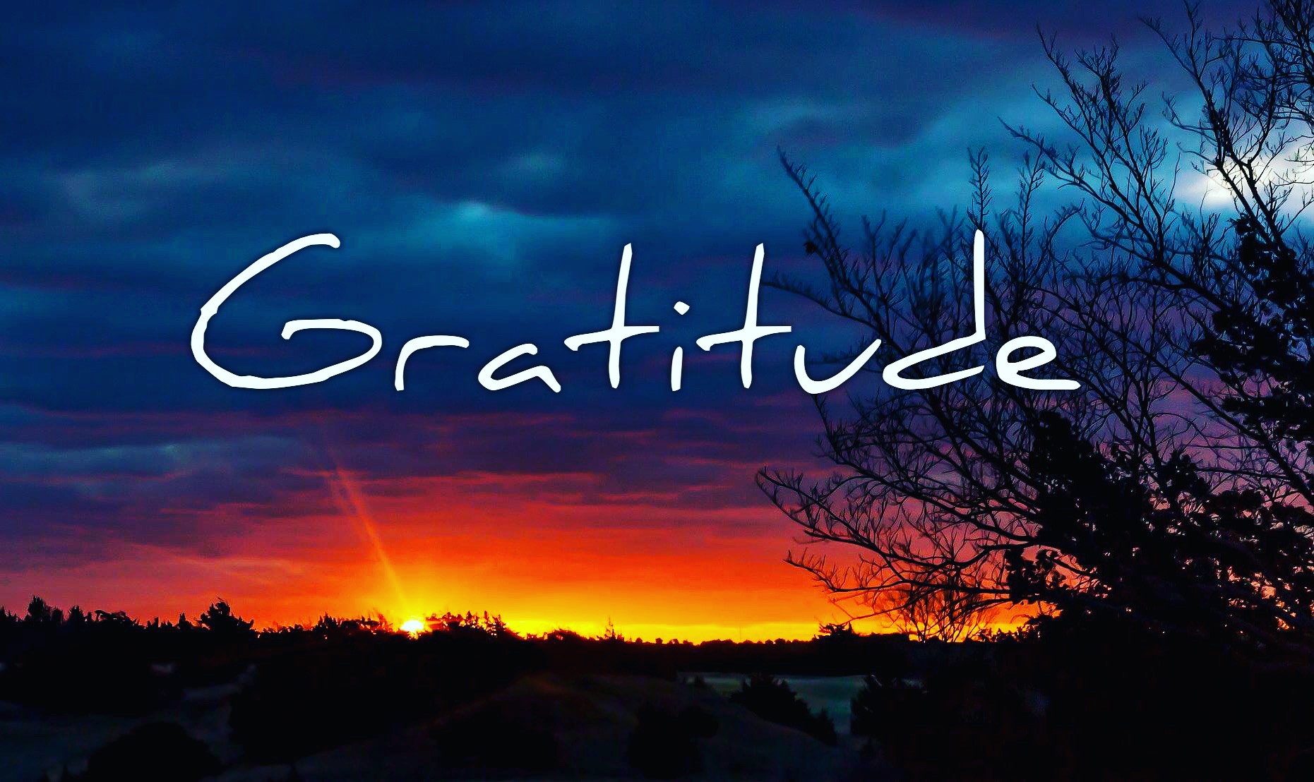 Reflections on Gratitude by Steven Shomler