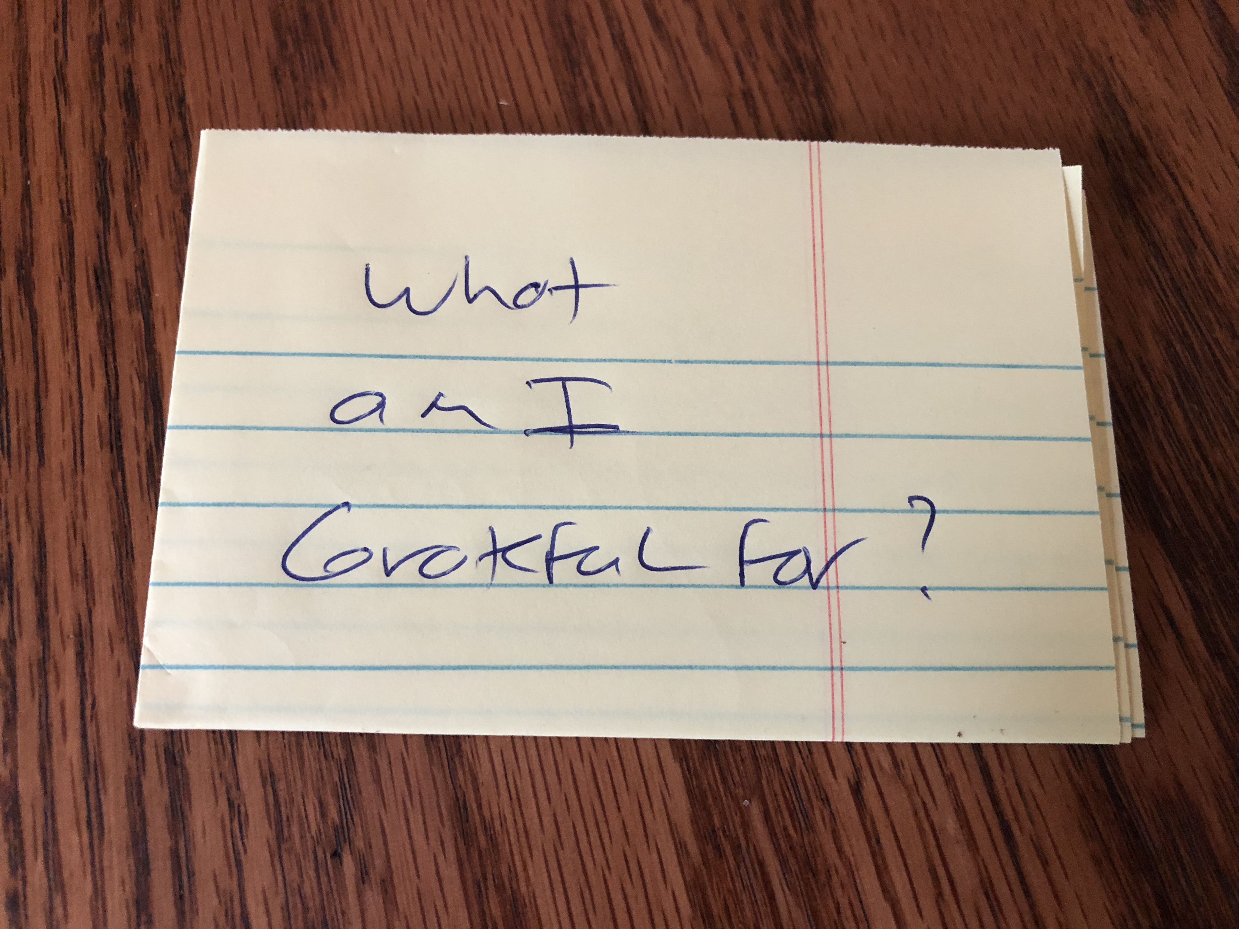 Reflections on Gratitude by Steven Shomler
