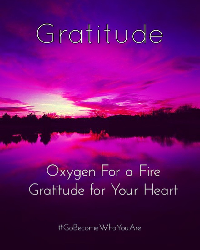 Reflections on Gratitude by Steven Shomler