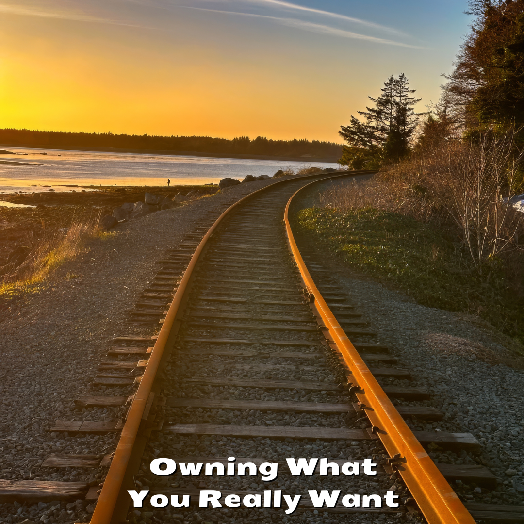 Owning What You Really Want by LifeStory Alchemist Steven Shomler